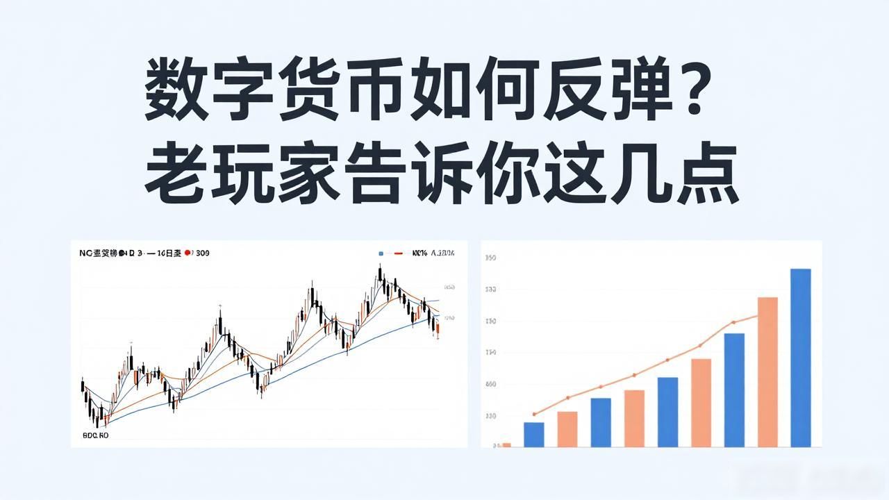 数字货币如何反弹_数字货币市场下跌后何时反弹_数字货币市场反弹的因素