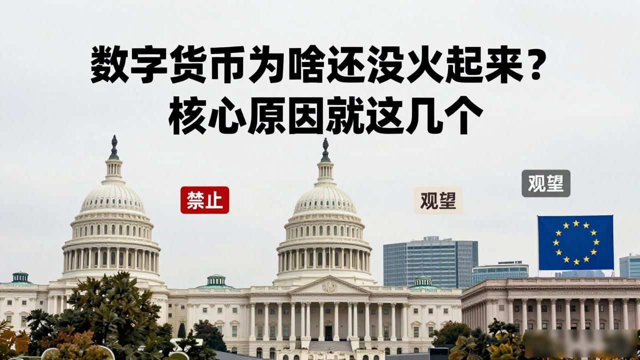 数字货币未普及的原因_数字货币发展受限的原因_数字货币技术门槛对普通人的影响