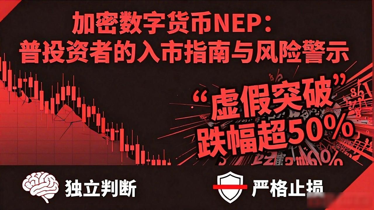 NEP数字资产投资风险_NEP与主流币种差异_加密数字货币nep